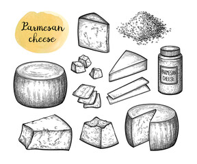 Parmesan cheese ink sketch. - obrazy, fototapety, plakaty