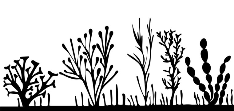 recommend clip art: algae black, silhouette isolated vector