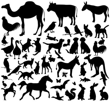 animals set silhouette isolated vector