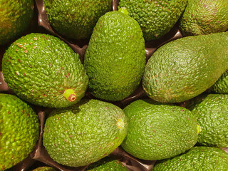 many avocado fruits on the market