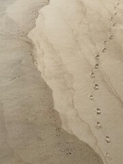 footprints in the sand