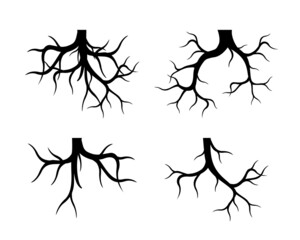 Set black Tree Roots on white background. Vector Illustration. Plant in Garden.
