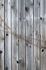 Stare białe deski twarde drewno tekstura © Kacper