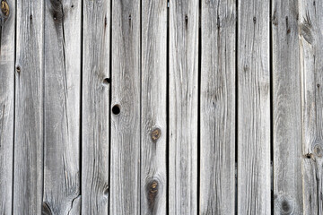 Fototapeta premium Stare białe deski twarde drewno tekstura