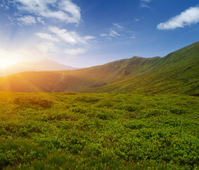 Mountain landscape on sun