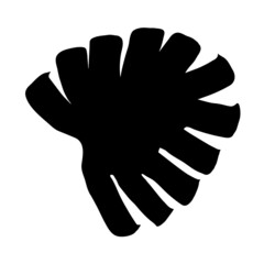 Tropical leaves, monstera. Vector illustration for  card, home decor. 
Isolated on white backdrop. 