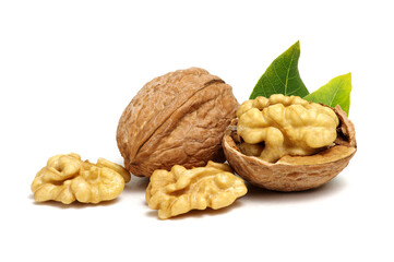 Walnuts with leaves