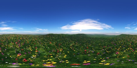 Spring meadow with flowers,, HDRI,  environment map , Round panorama, spherical panorama, equidistant projection, panorama 360, 3d rendering