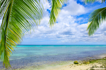 Travel background with palm leaves and caribbean sea.