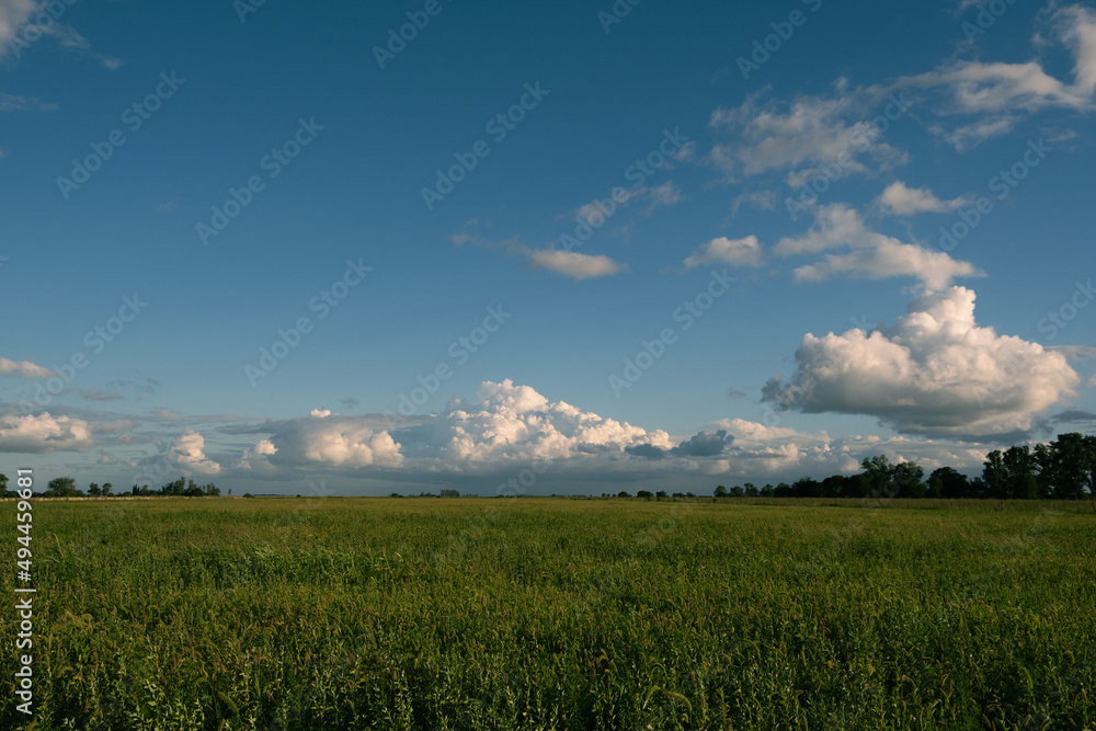 Poster mesmerizing shot of a rural area landscape