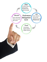 Components of Performance Management Cycle.