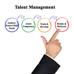 Four Components of Talent Management