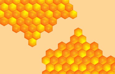 vector Background texture  of a section of wax honeycomb.