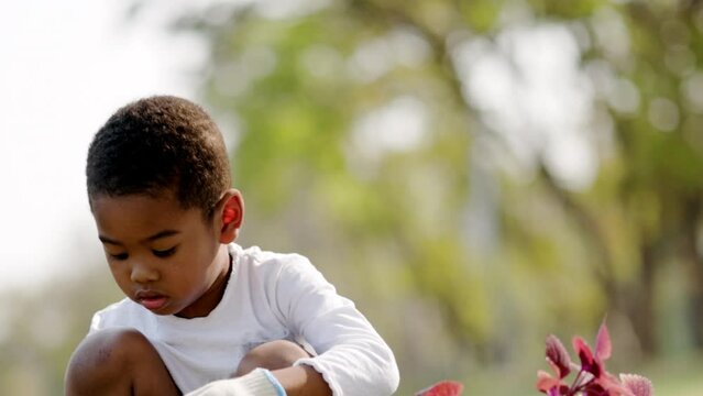 African American boy Doing tree planting activities  in lawn park summer vacation. kid Learn how to care for foliage in pots. School age Enjoy life with nature. conservation environment friendly