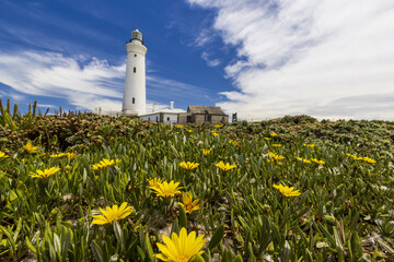 Light house eastern Cape South Africa