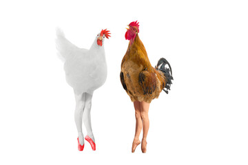 conceptual hen and rooster in the form of a balerina isolated