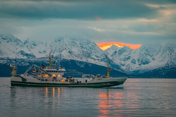 Fototapeta premium The fjords of north Norway, Norway