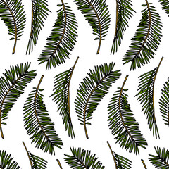 Vector seamless pattern with hand drawn graceful tropical leaves.  Beautiful ink drawing. Perfect for floral prints and patterns