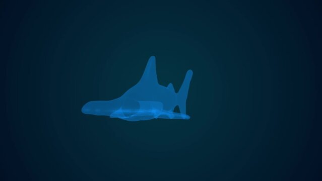 Hammerhead shark Hologram Video high tech image isolated on black background.