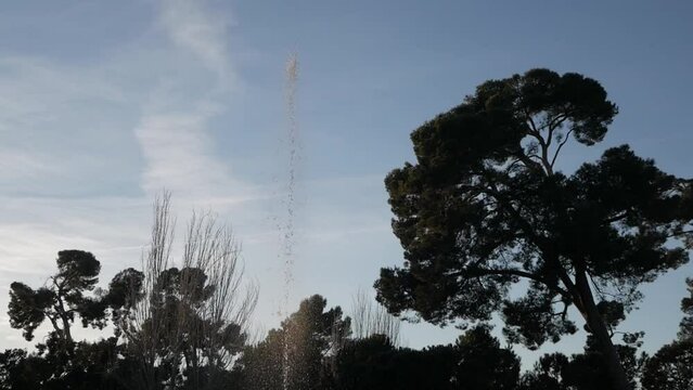 Horizon view from inside Retiro Park in Madrid. Tall trees and a water jet from a fountain on the horizon and behind clear skies with very light clouds on some areas.
