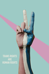 text trans rights are human rights and V-sign - obrazy, fototapety, plakaty
