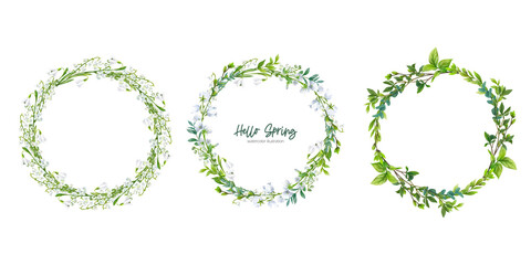 Spring flowers and leaves. Hand drawn vector
