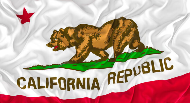 california state flag.
