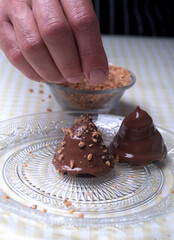 Chocolate-coated marshmallow treats