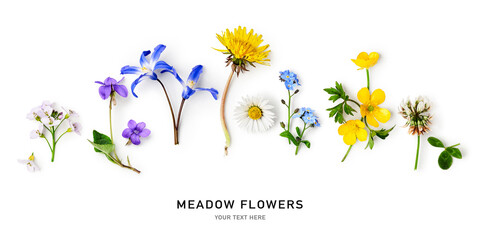 Meadow flowers border and creative layout.