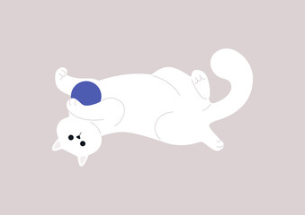 Funny friendly cat playing with a ball, adorable pets