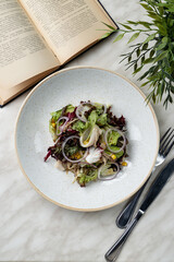 Squid salad with lettuce and onion, light restaurant food shooting for a menu, high angle view