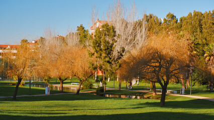 Closeup of the Aveiro park near the city center with reflections in the lake