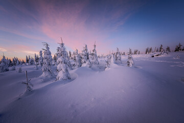 Sunrise over snow-covered Dreisesselberg (Bavarian Forest - Sumava National Park)