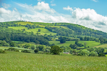 Fototapeta na wymiar Summertime landscape in the UK.