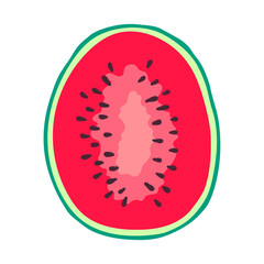 Sliced Watermelon icon. Vector summer fruits. Half of watermelon on white background.