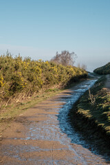 Devils Punch Bowl, Hindhead Surrey