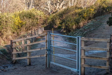 New fence and gate n Hindhead common