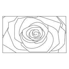 Beautiful Easy Roses Flowers Coloring book For Preschool Children. Cute Educational Roses Flowers Coloring Page For Kids