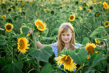 Girl in sunflowers outdoors. Holidays. summer sun