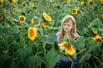 Girl in sunflowers outdoors. Holidays. summer sun