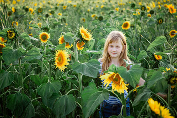 Girl in sunflowers outdoors. Holidays. summer sun