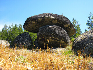 portugal national park resort trees stones nature green