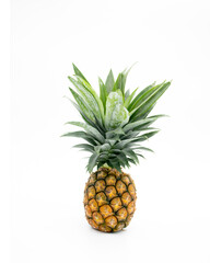 pineapple with leaves isolate on white background, fresh pineapple