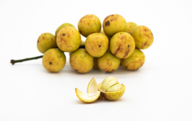 A closeup of the growing sweet and delicious Baccaurea motleyana fruits