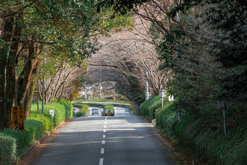 トンネル