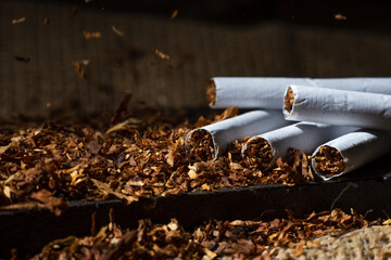 Hand rolling cigarette tobacco, unhealthy smoking concept