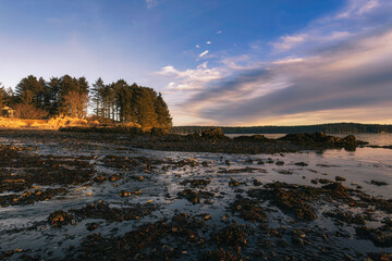 Mesmerizing view of the lake and the dense forest against a cloudy sky at sunset