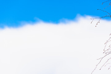 White cotton clouds in the blue sky, tree branches are visible (copy space).