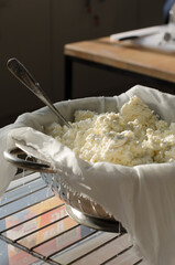 cooking homemade cheese in the workshop. Master Class