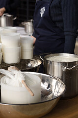 cooking homemade cheese in the workshop. Master Class